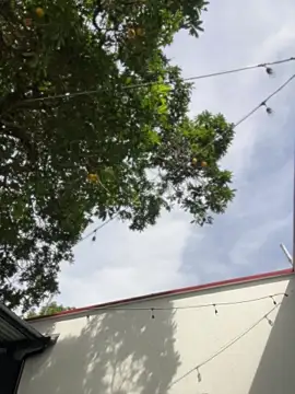 Namii_cute: απευθείας συνομιλία ΧΧΧ