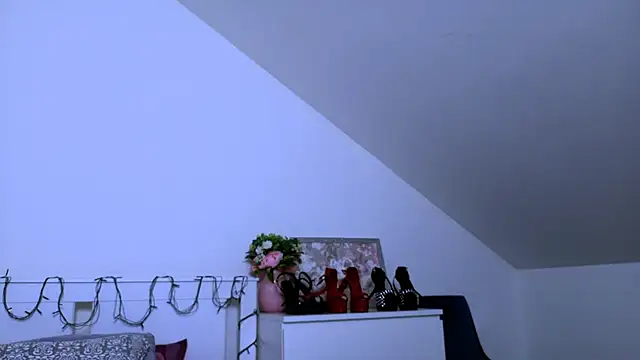 GabiCarter – Kamerová šou