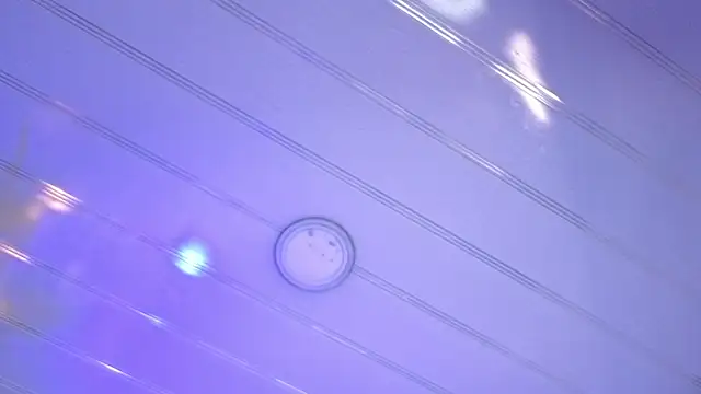 sakuramossのライブXXXチャット