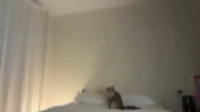 Milky___Way: онлайн-секс-чат