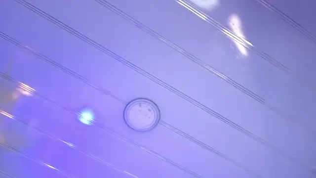 sakuramoss 即時 XXX 聊天