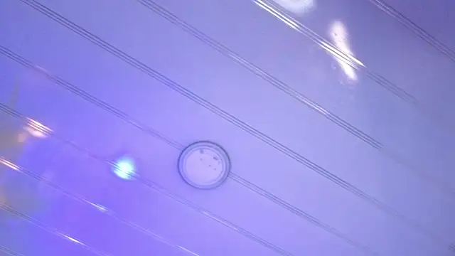 sakuramoss' Live XXX Chat