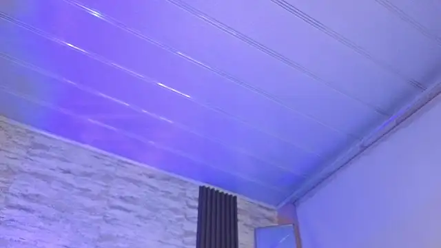 sakuramoss 现场XXX聊天