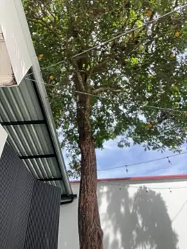 Namii_cuteのライブXXXチャット