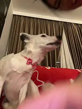 jelly__beanss Webcam show