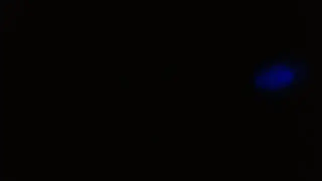 Sweetdirty1 现场XXX聊天