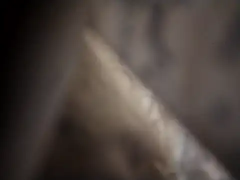 shyguy8569 Live XXX-Chat