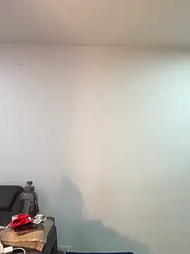 BrendaCreann Webbikameraesitys