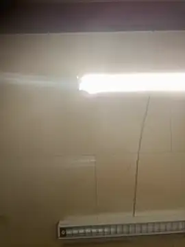 miguel910921 Webcamshow