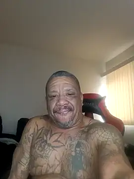 Pertunjukan Kamera Web yellowwetfox