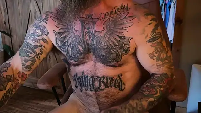 Pokazy przed kamerką – myplace69