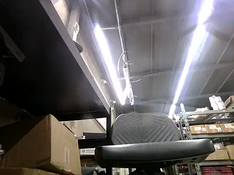 Show modela Inxekt na web-kameri