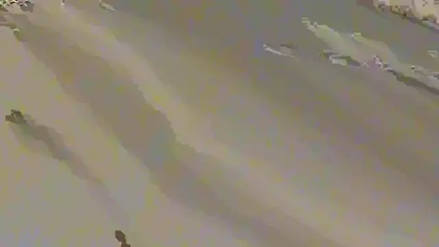 Show webcam de argon1967