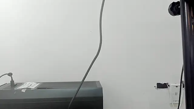 DANIDICK_VC Live XXX Chat