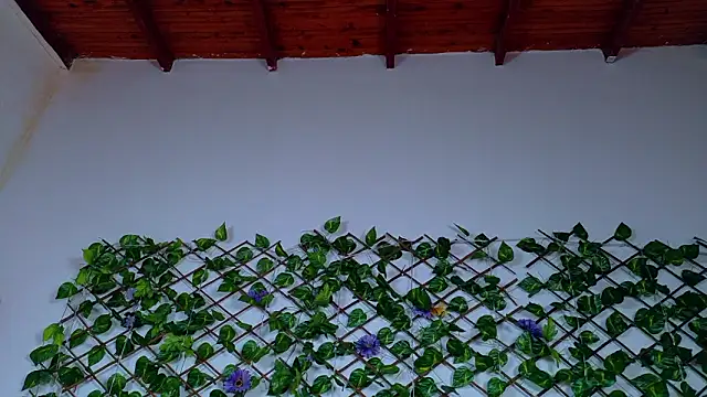 alice_rous21のライブXXXチャット