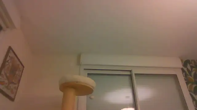 sexy007sexy élő XXX-chatje