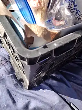 Онлайн чат XXX FloppyPickle4u