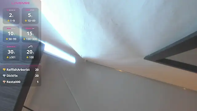 Sang_woo_Lee_ Webcam Show