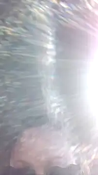 Živý XXX chat SexyB214