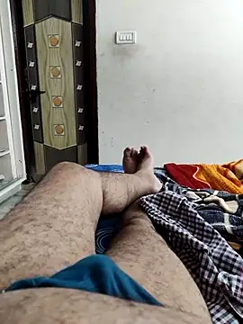 Show webcam de 3D-telugu