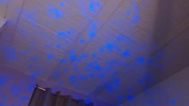 Chat XXX en directo de sexychubby___