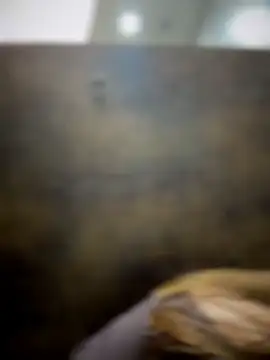 Colibri_Centaura Chat XXX in diretta