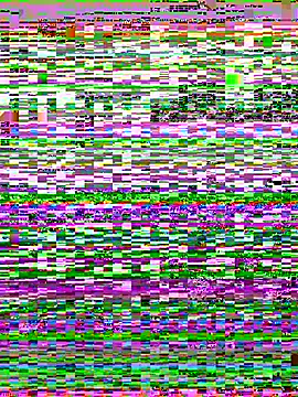 Chat XXX ao vivo de EllyNora