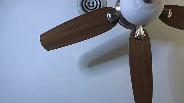 spazz247 élő XXX-chatje