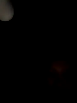 Shank599 在線直播表演