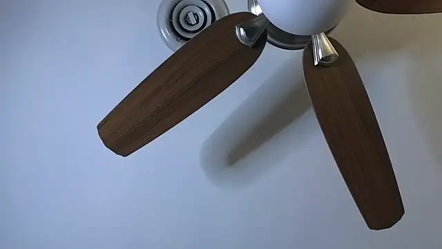 Pokazy przed kamerką – spazz247