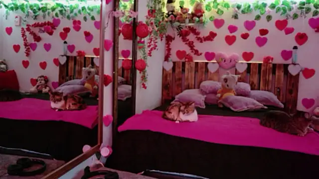 AzaharJaan Webcam Show