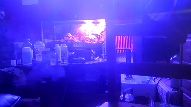 TheHellBilly – Live XXX-chat