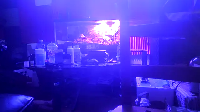 Živý XXX chat TheHellBilly