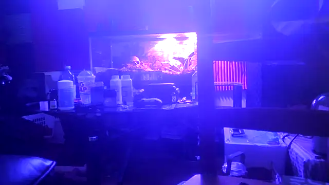 TheHellBilly 웹캠 쇼