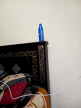 Mee_harini-telugupilla 网络视讯表演