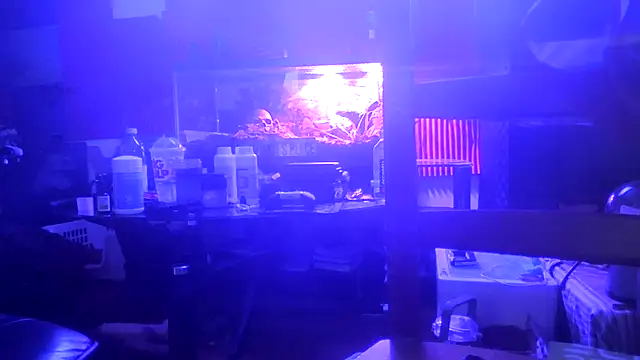 TheHellBilly's Live XXX Chat