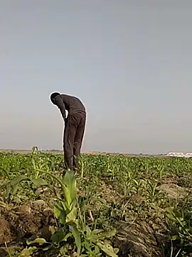 แชท XXX สดของ ThethunderPo