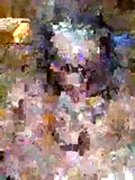 kinkybustyangelのライブXXXチャット