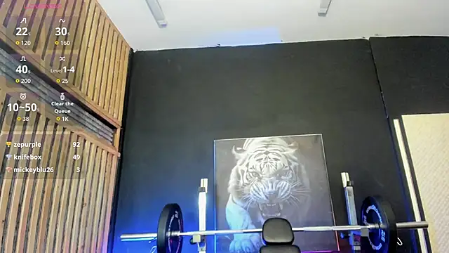 VelloTouch ওয়েবক্যাম শো