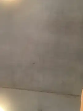 CurvyDesire1のライブXXXチャット