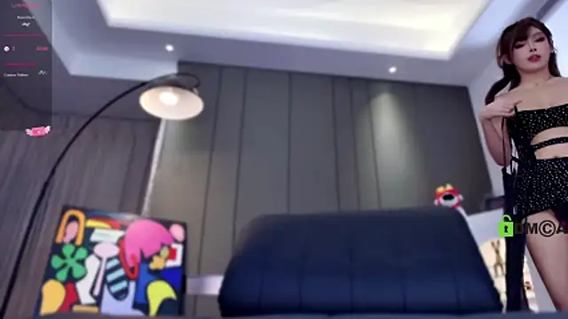 KpKpR 网络视讯表演