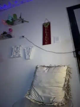 Helen_Vidalln Webbikameraesitys