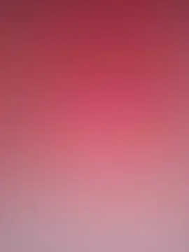 Pertunjukan Kamera Web ToysRus24