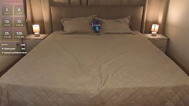 YerGara webkamerás műsora