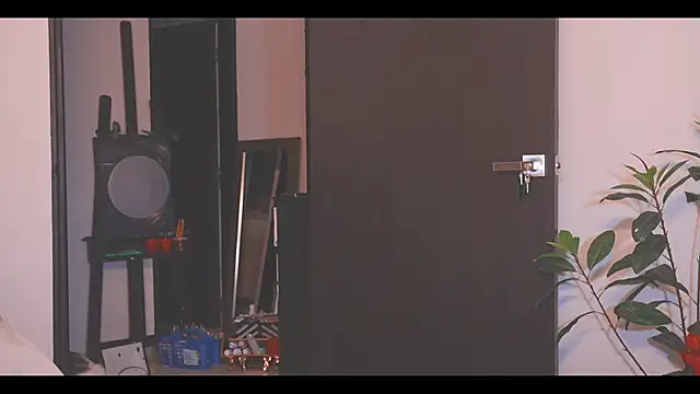 Show webcam de LorenRosse