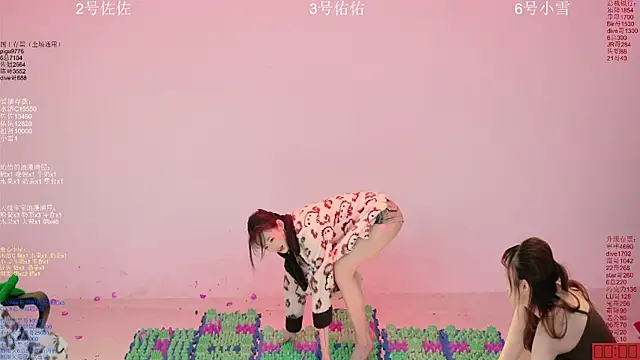 Show de webcam de ATY1314