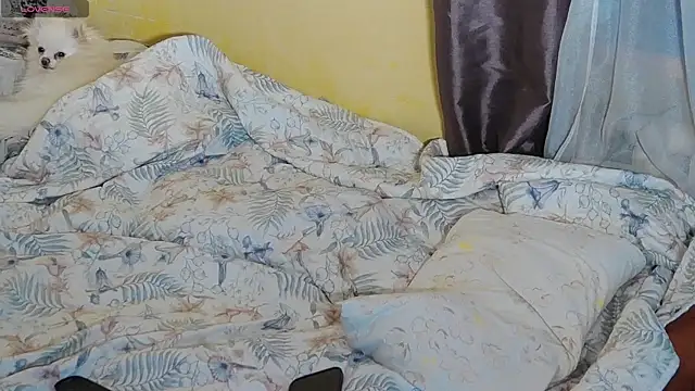 CindyJonsonのライブXXXチャット