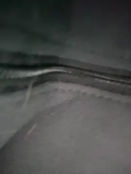 Xiaokui-04 Show Webcam