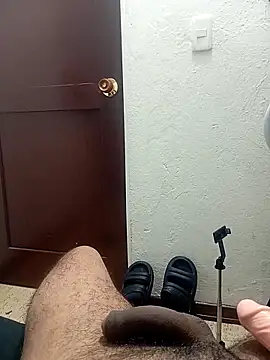 عرض كام prototipoA45