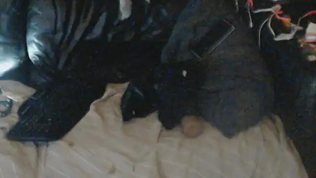 BISLETJE1980 – Kamerová šou